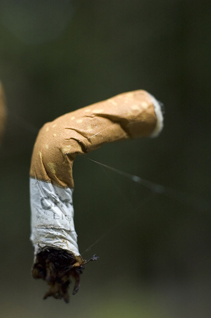 Smoke on a Rope I